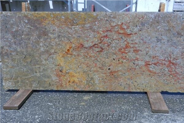 Jurassic Red Marble Slabs