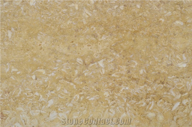 Golden Shell Slabs & Tiles, Shells Reef Gold Limestone Slabs & Tiles