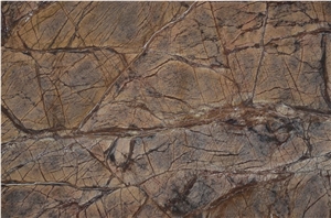 Marble Rainforest Brown Slabs & Tiles, India Brown Marble
