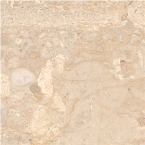 Carnis Breccia Marble