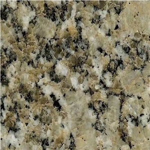 Pine Green Canada Granite Slabs & Tiles