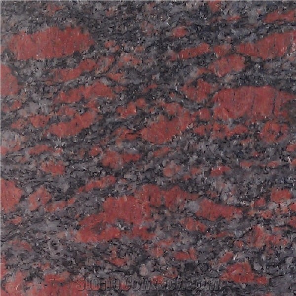 Tumkur Porphery Granite Slabs & Tiles, India Red Granite