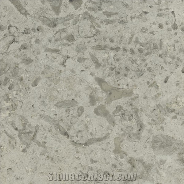 Transylvania Coral Limestone Slabs & Tiles