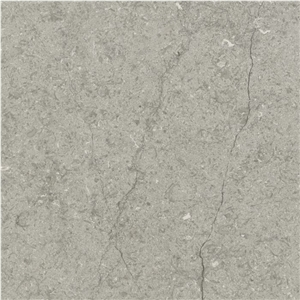 Transylvania Gray Grey Limestone Slabs & Tiles, Transilvania Grey Limestone Slabs & Tiles