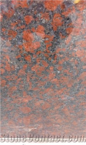 Indian Red Granite Tiles
