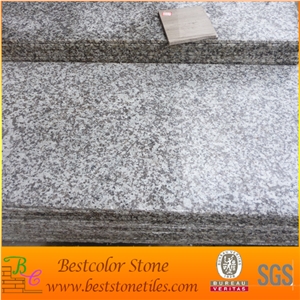 G640 Granite Cut to Size Slabs& Tiles,Lunar Pearl Bianca Granite Slabs & Tiles,China White Granite