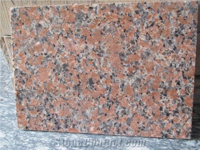 G562 Granite,Maple Red Granite Slabs & Tiles,China Red Granite