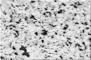 Bianco Alaky Granite Slabs & Tiles