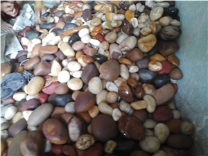 Natural Narmada River Mix Color Pebble Stones