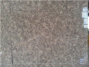 Chinese Granite Coffee Drill, Suitable for Floor Wall Tiles