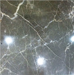 Grey Marble Tiles & Slabs, Pakistan Grey Marble