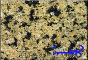 Yellow Tropic Brown Granite Slabs & Tiles, China Yellow Granite