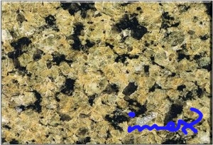 Yellow Tropic Brown Granite Slabs & Tiles, China Yellow Granite
