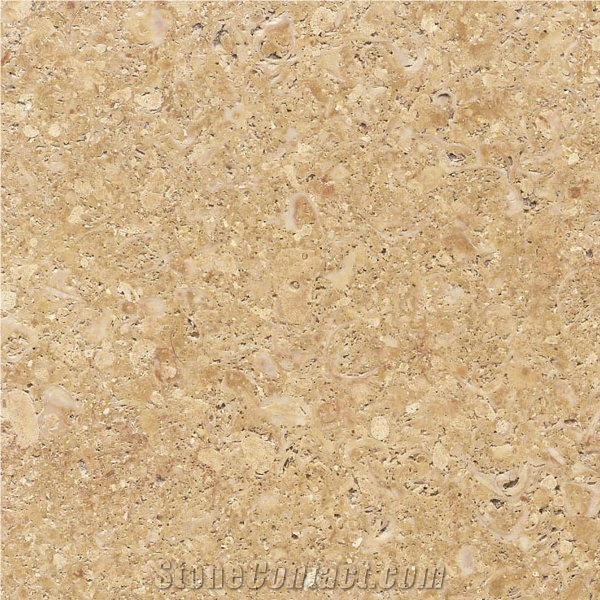 Golden Shell Limestone Slabs & Tiles