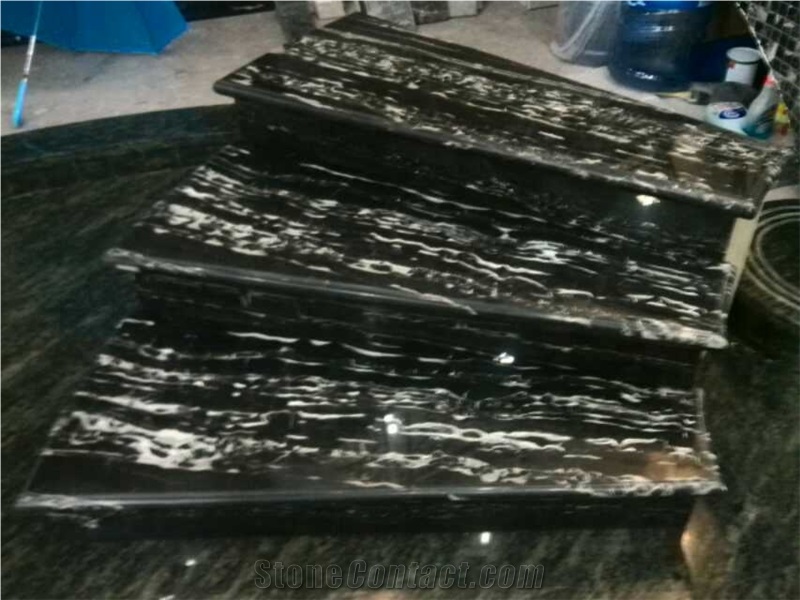 Chinese Silver Dragon Black Marble Tile,China Black Marble