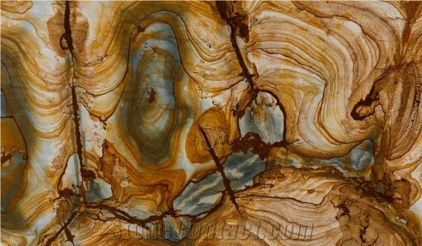 Yellow Wood Slab,Stone Wood Quartzite