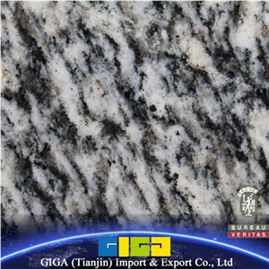 Granite Delicatus White Granite Polished Slab