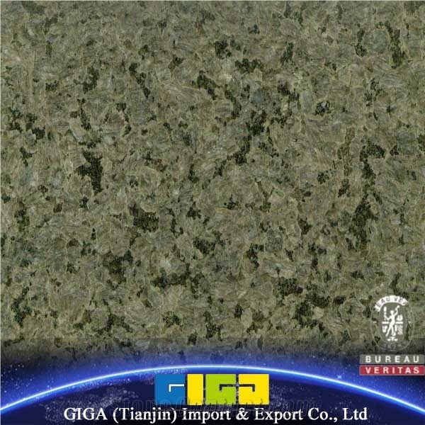 Le Granite Slab Giga, Green Granite Slabs & Tiles