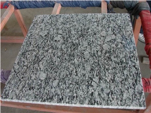 China Polishing Spray White Granite Tiles & Slabs