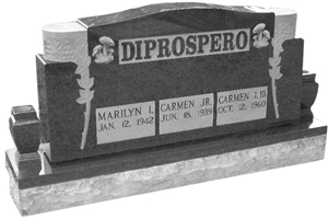 Jk10 Hebei Midnight Black Granite Monument Design Example