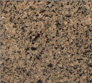 Tropical Brown Granite Slab, India Brown Granite