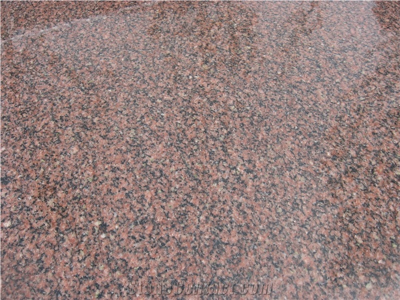 G352 Granite,General Red Granite Granite Slabs & Tiles,China Red Granite