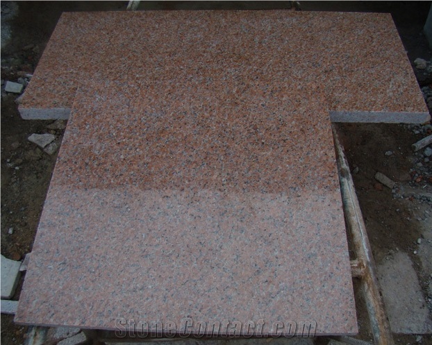 Shandong Shidao Red Granite Tile,G386-8 China Red Granite Slabs & Tiles