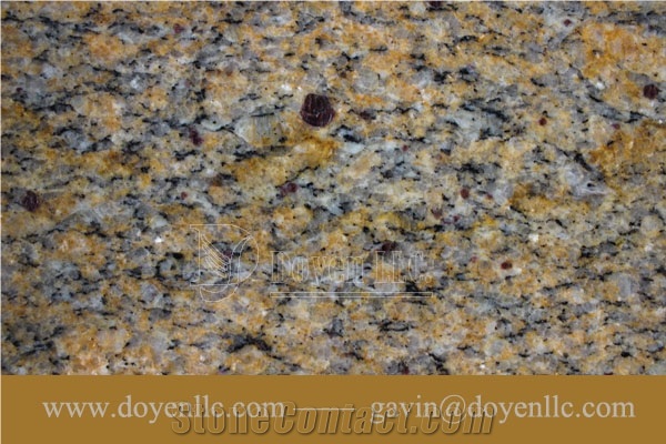 Anjos Gold Brazil Granite Kitchen Prefab Counter Tops
