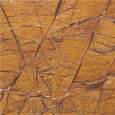 M872 Rain Forest Brown Marble Slabs & Tiles, India Brown Marble