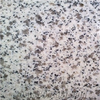 Wellest G265 Sesame White Granite Slab&Tile