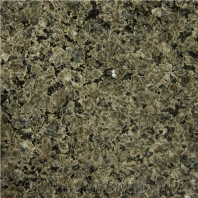 Wellest G308-Mountain Green Granite Slab&Tile, China Green Granite