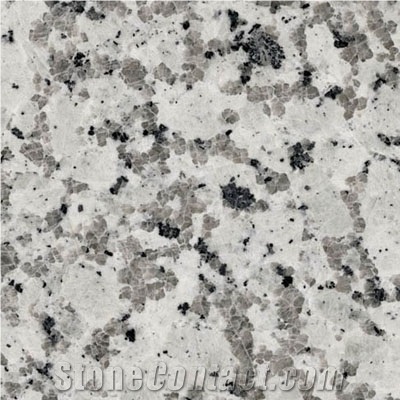Wellest G404 Bala White Granite Slabs&Tiles,China White Granite