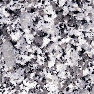 Wellest G440-Bala Flower Granite Slab&Tile,India Grey Granite