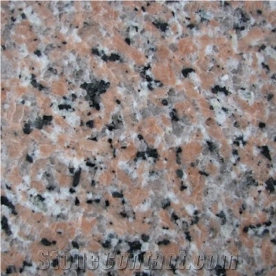 Wellest G455-Xili Flower Granite Slab&Tile