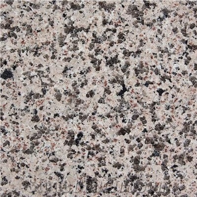 Wellest G458 Chaozhou Pink Granite Slab&Tile, China Pink Granite