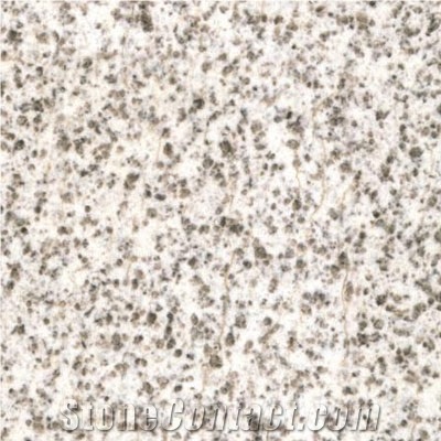Wellest G526 Pearl Sesame Granite Slab&Tile, China White Granite