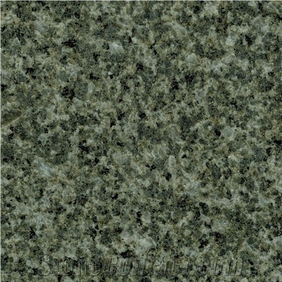 Wellest G527-Galaxy Green Granite Slab&Tile