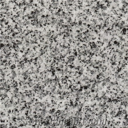 Wellest G614 Misty Grey Granite Slab&Tile, China Grey Granite