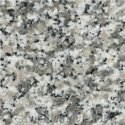 Wellest G623-Silvery Grey Granite Slab&Tile, China Grey Granite