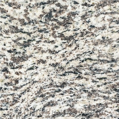 Wellest G637 Tiger White Granite Slab&Tile, China White Granite