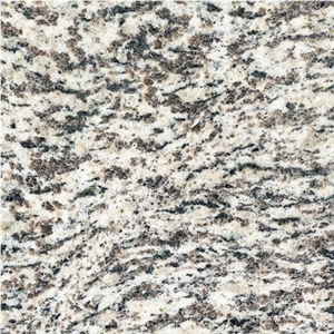 Wellest G637 Tiger White Granite Slab&Tile, China White Granite