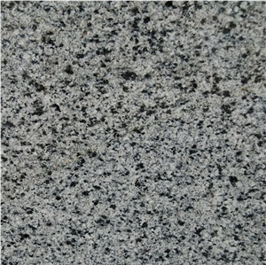 Wellest G641 Georgia Grey Granite Slab&Tile, China Grey Granite