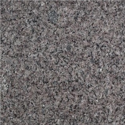 Wellest G651-Classic Grey Granite Slab&Tile, China Grey Granite