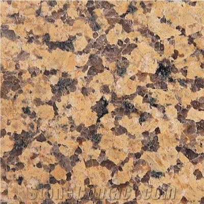 Wellest G705 Chrysan Yellow Granite Slab&Tile, China Yellow Granite