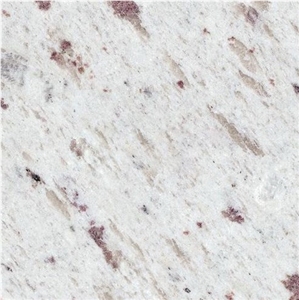 Wellest G922 Galaxy White Granite Slab&Tile