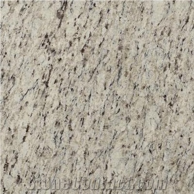 Wellest G942-Giallo Sf Real Granite Slab&Tile
