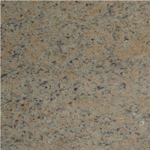 Wellest G961 New Giallo Veneziano Granite Slab&Tile