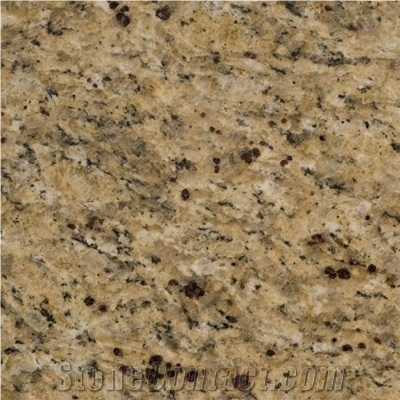 Wellest G963-Venetian Glod Granite Slab&Tile