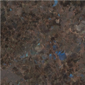 Wellest G978 Labrador Antique Granite Slab&Tile