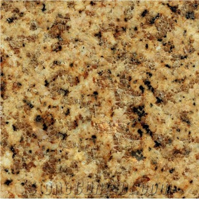 Wellest G990 Vietnam Yellow Granite Slab&Tile